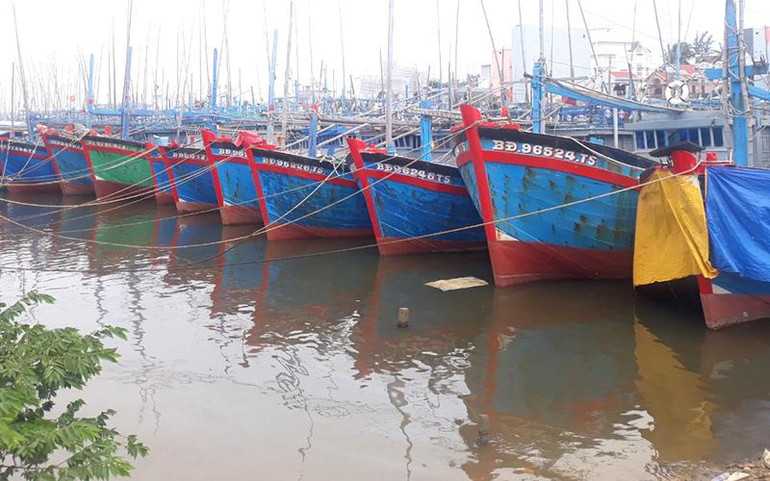 Tàu cá Bình Ðịnh nằm bờ vì khó khăn.