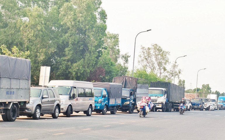 Dòng phương tiện từ địa phương khác đến Ðồng Tháp chờ đăng kiểm.