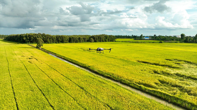 Những chiếc máy bay không người lái lần đầu xuất hiện trên cánh đồng Việt. Ảnh trong bài | AgriDrone Việt Nam