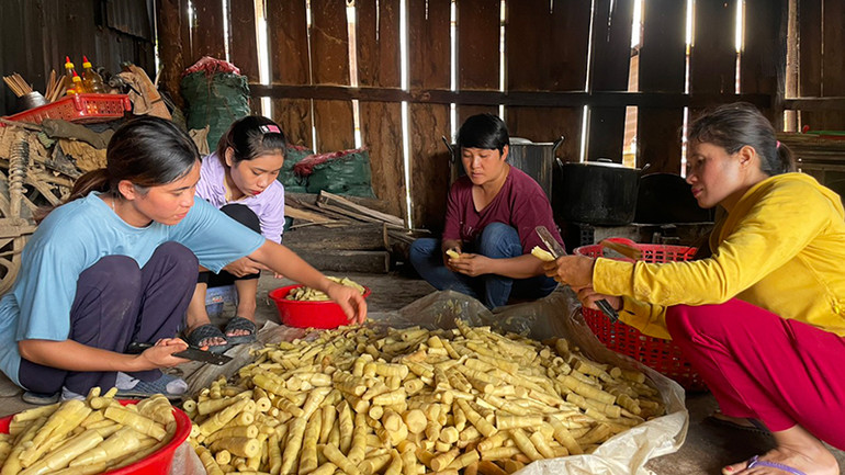 Tổ liên kết phụ nữ thu mua và chế biến măng le tại xã Ðăk Pxi, huyện Ðăk Hà.