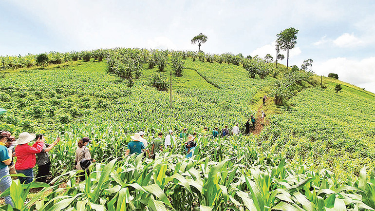 Du khách và các nhà nghiên cứu khoa học trải nghiệm các mô hình nông nghiệp công nghệ cao gắn với hệ sinh thái Công viên địa chất toàn cầu UNESCO Ðắk Nông.