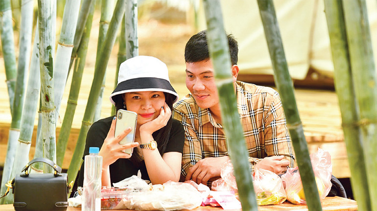 Giữa cảnh quan thiên nhiên tươi đẹp của tán rừng trúc phấn. Giữa cảnh quan thiên nhiên tươi đẹp của tán rừng trúc phấn.