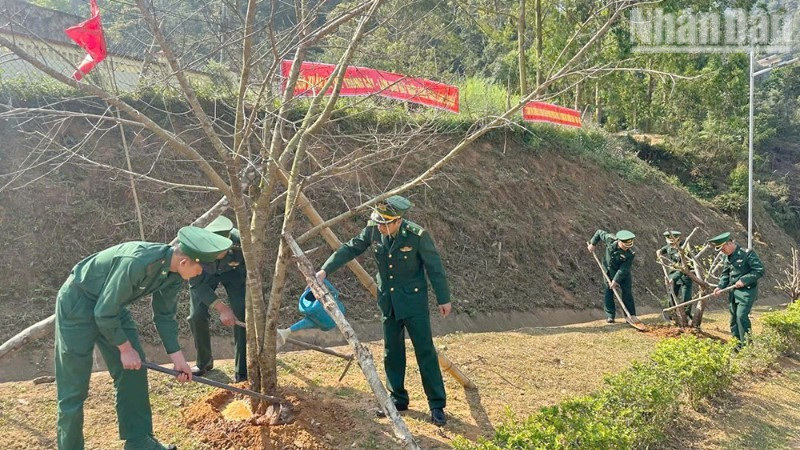 Cán bộ, chiến sĩ Đồn Biên phòng Phiêng Pằn trồng và chăm sóc cây.