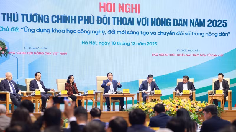 Gieo mầm khát vọng trên cánh đồng Việt.