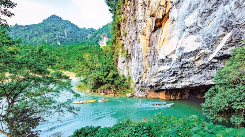 Một góc Vườn quốc gia Phong Nha-Kẻ Bàng. (Ảnh: TTXVN)