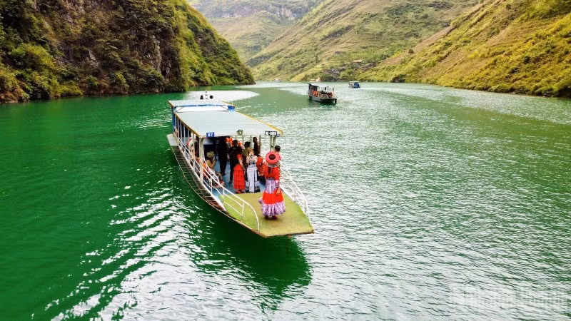 "Check-in" trên dòng Nho Quế biếc xanh.