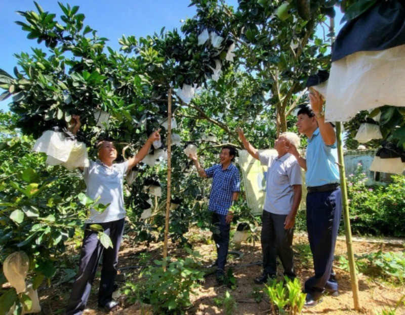 Tổ dân cư sinh thái số 1 thôn Cửa Lĩnh, xã Đức Lĩnh, huyện Vụ Quang, tỉnh Hà Tĩnh “nâng chất” các tiêu chí nông thôn mới.