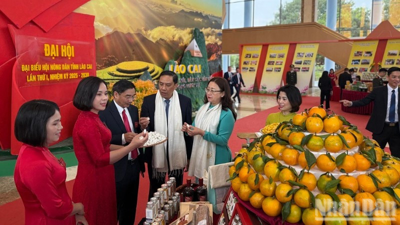 Các đại biểu tham quan gian hàng của nông dân tại Đại hội. (Ảnh: THANH SƠN)