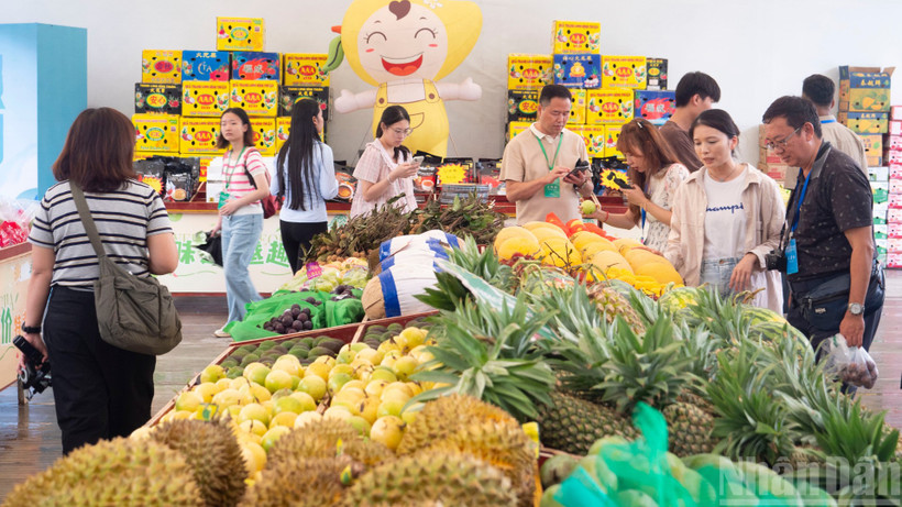 Góc trưng bày, giới thiệu trái cây tại Trung tâm giao dịch trái cây xuyên biên giới Bằng Tường, Quảng Tây, Trung Quốc.