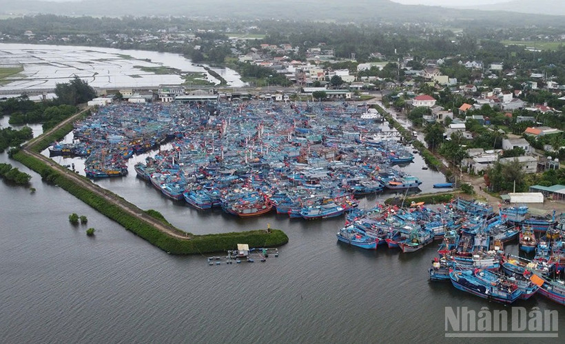 Tàu cá của ngư dân neo trú tại cảng cá Tịnh Hòa (Quảng Ngãi).