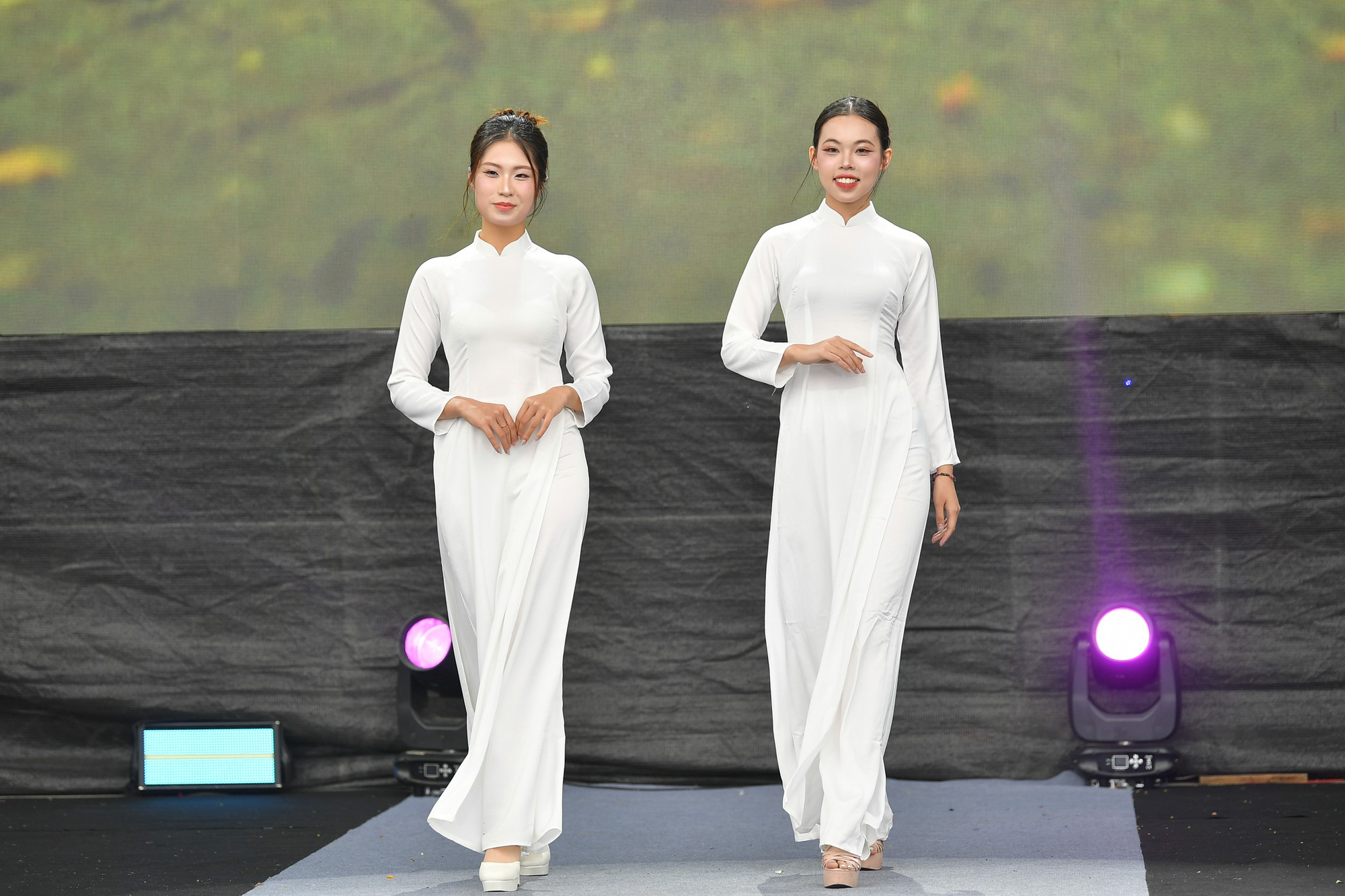 lehoiaodai-0225.jpg