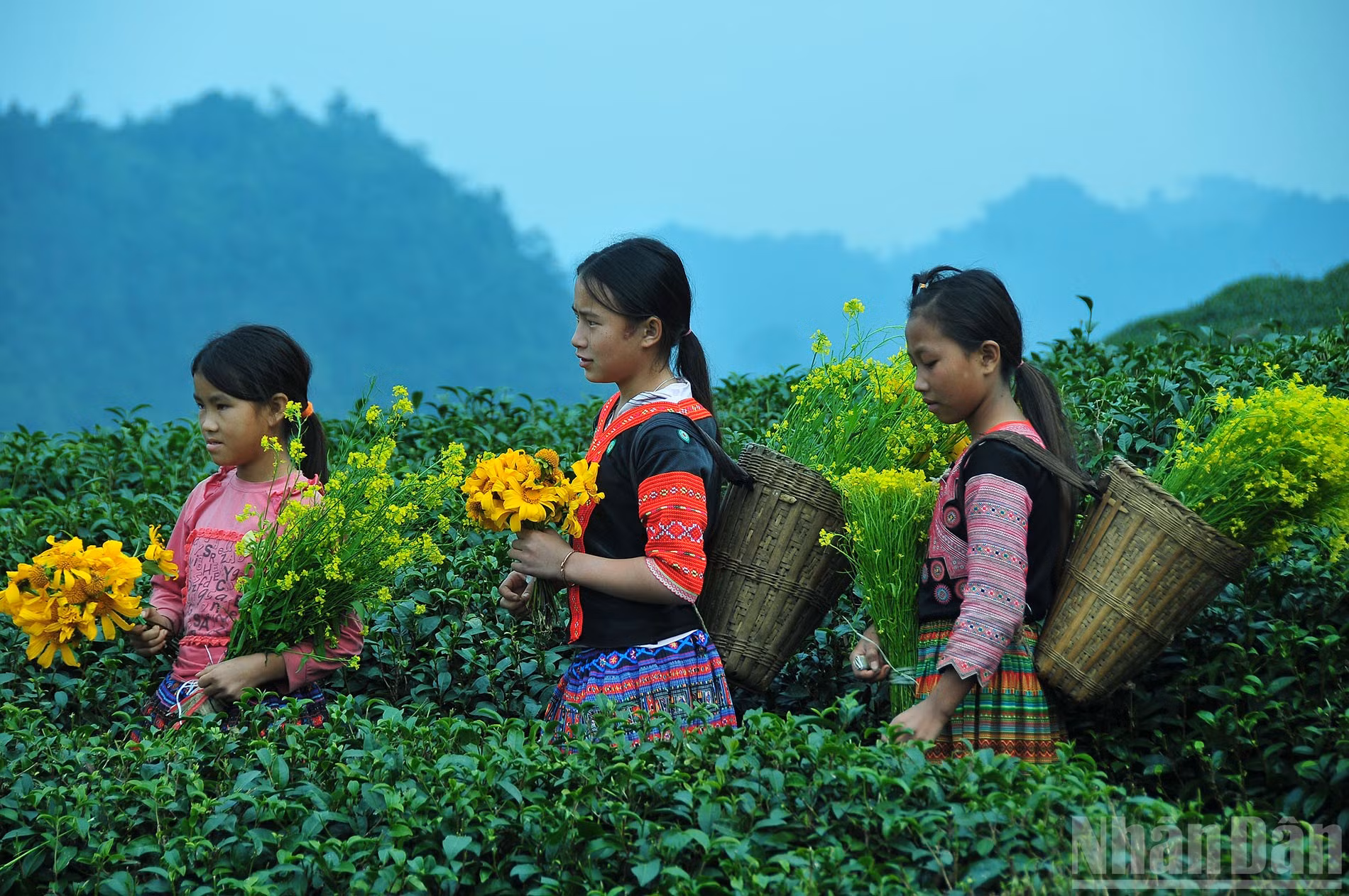 Những em bé người dân tộc ở Mộc Châu là những sứ giả truyền tải nét văn hóa đặc sắc của đồng bào mình đến với du khách. (Ảnh: THẾ DƯƠNG)