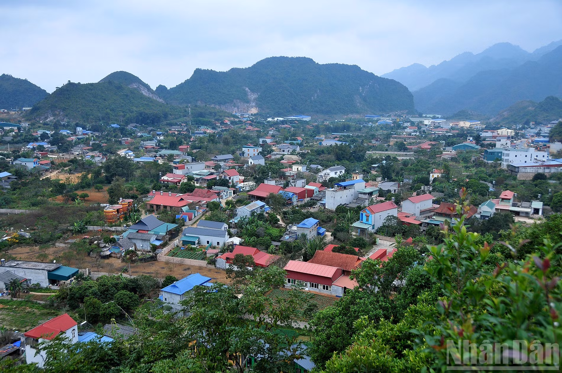 ndo_br_14-sac-xanh-moc-chau.jpg