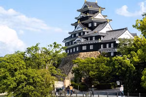 Lâu đài Okayama - một trong những điểm đến thu hút khách du lịch Việt Nam khám phá khi đến Nhật Bản. (Ảnh: TTXVN)