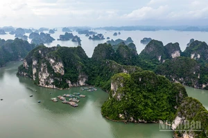 Condé Nast Traveler đánh giá, vịnh Hạ Long được du khách yêu thích bởi làn nước xanh biếc và những hòn đảo đá vôi trải dài. (Ảnh: THÀNH ĐẠT)