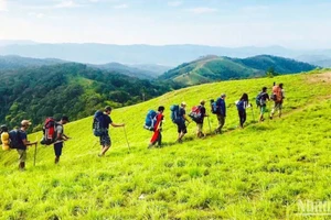 Du khách trải nghiệm cung trekking Tà Năng-Phan Dũng. (Ảnh: MAI VĂN BẢO)