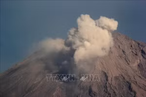 Tro bụi phun lên từ núi lửa Semeru, nhìn từ Lumajang, Đông Java, Indonesia. (Ảnh: THX/TTXVN)