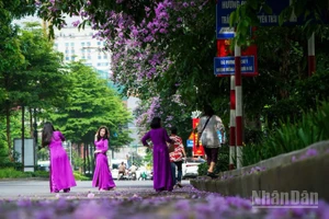 Năm 2026, du khách sẽ tìm đến những trải nghiệm mang lại chiều sâu về cảm xúc, ưu tiên chăm sóc sức khỏe tinh thần sau mỗi chuyến đi. (Ảnh: THÀNH ĐẠT)