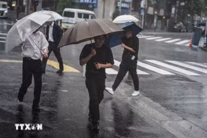 Một cơn bão gây mưa lớn tại Nhật Bản. (Ảnh: THX/TTXVN)