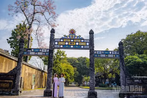Du khách ghé Huế trong mùa ngô đồng đơm hoa. (Ảnh: LÊ ĐÌNH HOÀNG)