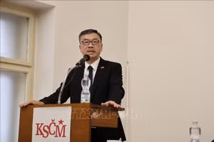 Đại sứ Việt Nam tại CH Séc Dương Hoài Nam phát biểu tại hội nghị.