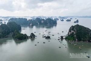 Vịnh Hạ Long là một trong những điểm đến được du khách Australia lựa chọn khi đến Việt Nam. (Ảnh: THÀNH ĐẠT)