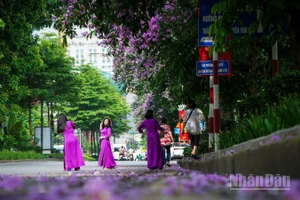 Một góc nhỏ ở Thủ đô Hà Nội. (Ảnh: THÀNH ĐẠT)