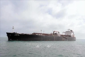 Tàu chở khí hóa lỏng Nanda Devi cập cảng Vadinar, bang Gujarat, Ấn Độ, sau khi di chuyển qua eo biển Hormuz ngày 17/3/2026. (Ảnh: TTXVN)