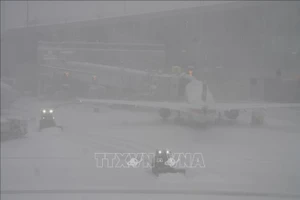 Tuyết rơi dày tại New York, Mỹ. (Ảnh: THX/TTXVN)