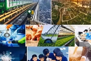 Chương trình hành động của Chính phủ thực hiện Nghị quyết Đại hội đại biểu toàn quốc lần thứ XIV của Đảng.