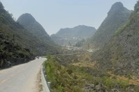 Tuyên Quang cấm nhiều loại phương tiện lưu thông trên Quốc lộ 4C dịp Lễ hội Hoa tam giác mạch.