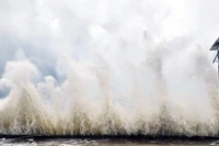 Sáng 24/9, bão Bualoi đang hoạt động ở vùng biển phía đông Philippines, với tâm bão ở khoảng 9,8 độ vĩ bắc; 132,4 độ kinh đông; sức gió mạnh nhất vùng gần tâm bão cấp 9, giật cấp 11. (Ảnh minh họa)