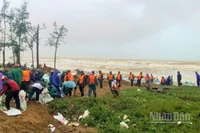 Tỉnh Đoàn Hà Tĩnh đã huy động hơn 15.000 cán bộ, chiến sĩ, đoàn viên thanh niên đến các địa phương giúp người dân cố đê điều. (Ảnh: NGÔ TUẤN)