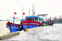 Theo bản tin khí tượng, đêm 25/11, bão Koto đi vào vùng biển phía đông khu vực giữa Biển Đông và trở thành cơn bão số 15 của năm 2025.