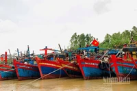 Hiện bốn địa phương Quảng Ninh, Hải Phòng, Hưng Yên và Ninh Bình đã ban hành lệnh cấm biển.