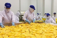Chế biến trái cây tại nhà máy Tanifood, huyện Gò Dầu, tỉnh Tây Ninh. (Ảnh: nhandan.vn)