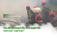 Mùa hanh khô, nguy cơ cháy rừng luôn rình rập, đe dọa “lá phổi xanh” của đất nước.