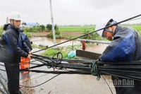 Các lực lượng chức năng đang khẩn trương khắc phục hậu quả sau bão. (Ảnh: ĐÀO PHƯƠNG)
