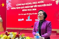 Phó Thủ tướng Phạm Thị Thanh Trà chúc Tết Đảng bộ, nhân dân tỉnh Lào Cai. (Ảnh: THANH SƠN)