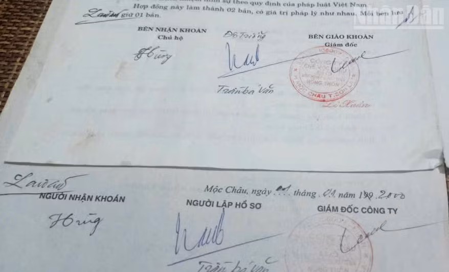 ndo_tr_22.jpg