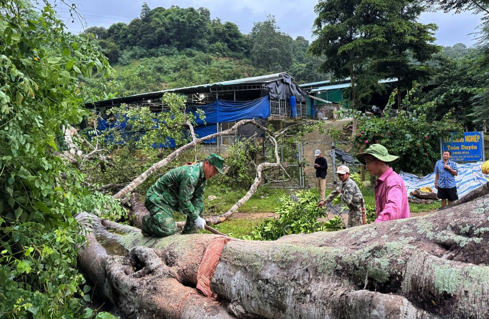 Lực lượng Bộ đội Biên phòng cùng với người dân dọn cây đổ gây ách tắc giao thông trên các tuyến giao thông khu vực biên giới. anh-1.jpg