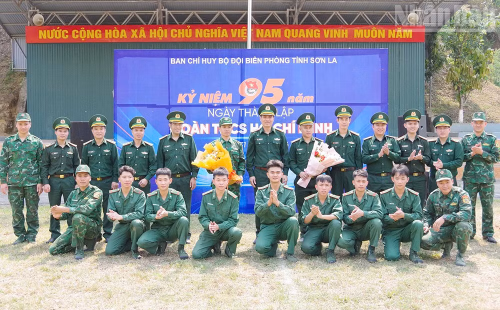 ndo_tr_6-8238.jpg