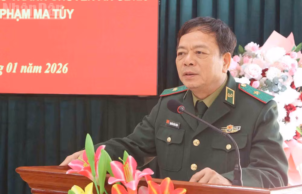 ndo_tl_3-5094.jpg