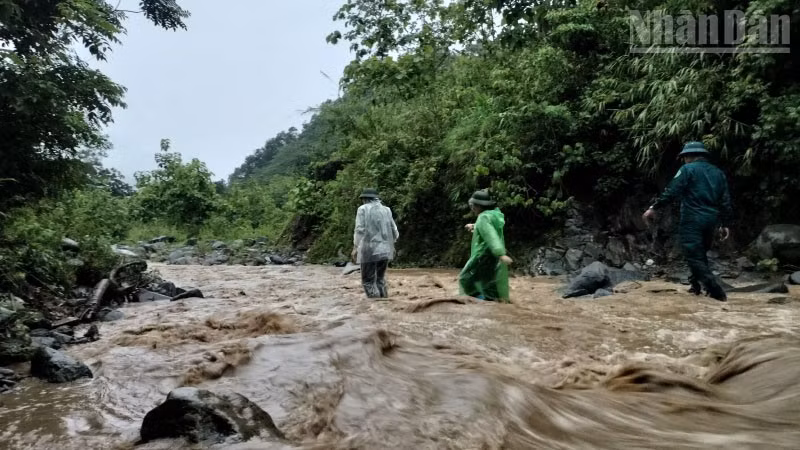 Khi mưa xuống, đường lên điểm khai thác vàng thành dòng suối lớn với nguy cơ lũ quét rất cao.