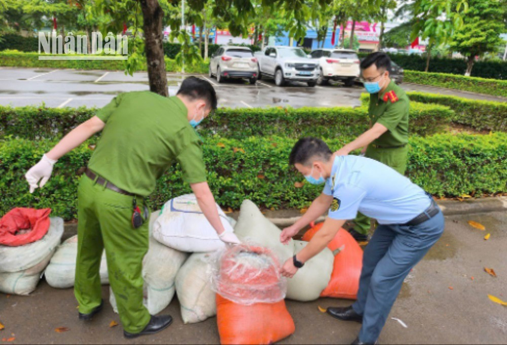 Các lực lượng chức năng tiến hành xử lý và tiêu hủy theo quy định gần 1 tấn nội tạng và các sản phẩm của động vật không rõ nguồn gốc. 3-9857.jpg