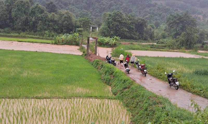 Nhiều diện tích lúa của các xã bị ngập. 2.jpg
