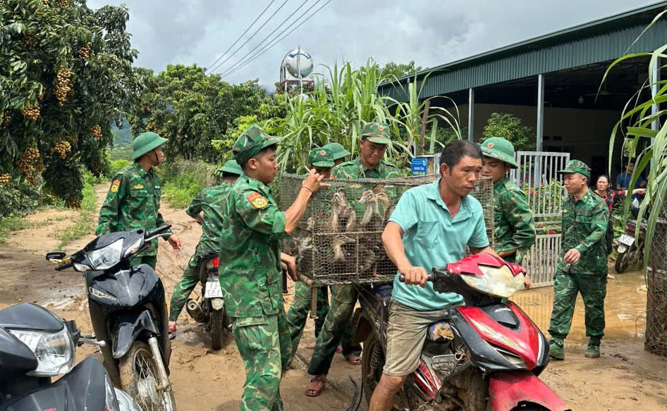 Các lực lượng tham gia hỗ trợ người dân di dời tài sản ra khỏi khu vực bị ngập. 10.jpg