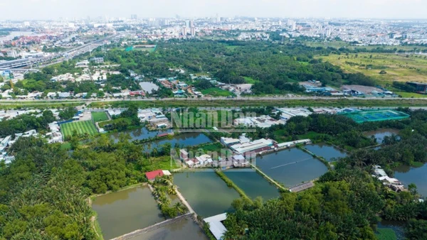 Dự án Khu Liên hợp Thể dục thể thao quốc gia Rạch Chiếc sẽ được hồi sinh trong năm 2025.