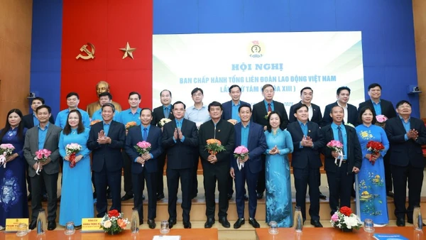 Bầu bổ sung 20 Ủy viên Ban chấp hành Tổng Liên đoàn Lao động Việt Nam khóa XIII, nhiệm kỳ 2023-2028.