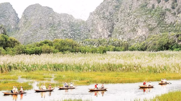 Khu bảo tồn ngập nước Vân Long, tỉnh Ninh Bình, nơi sinh sống của nhiều loài động, thực vật quý hiếm, đặc hữu là quần thể voọc mông trắng. 